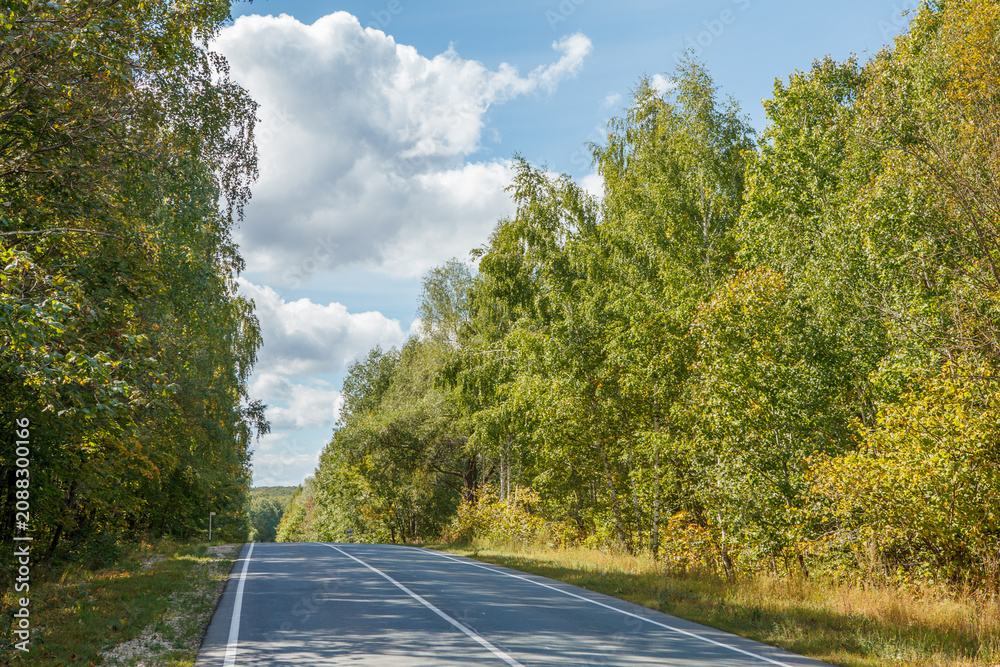 Fototapeta premium Country asphalt road in summer landscape