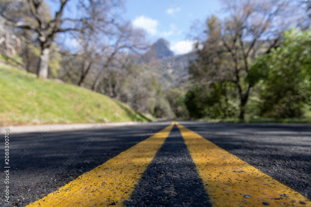Naklejka premium Yellow road marking in US national park