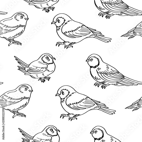 Pattern of birds lineart style isolated on white background