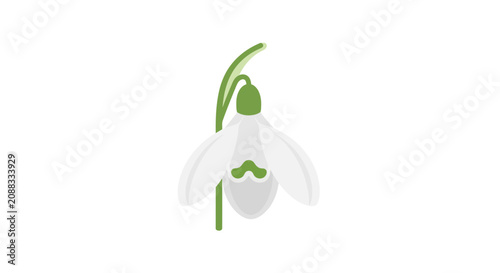 Minimalist snowdrop flower illustration with white petals and green stem isolated on white background symbol of spring