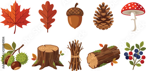 Autumn Forest Nature Collection with Maple Leaf Acorn Pinecone Mushroom Tree Stump Woodland Branches and Fall Vector Elements