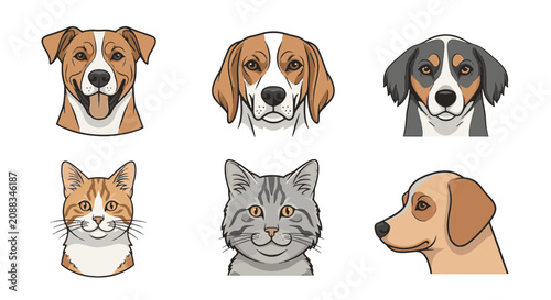Vector illustration collection of diverse pet heads featuring various dog breeds like Beagle, Pitbull, and Labrador, alongside orange and grey tabby cat portraits on white.