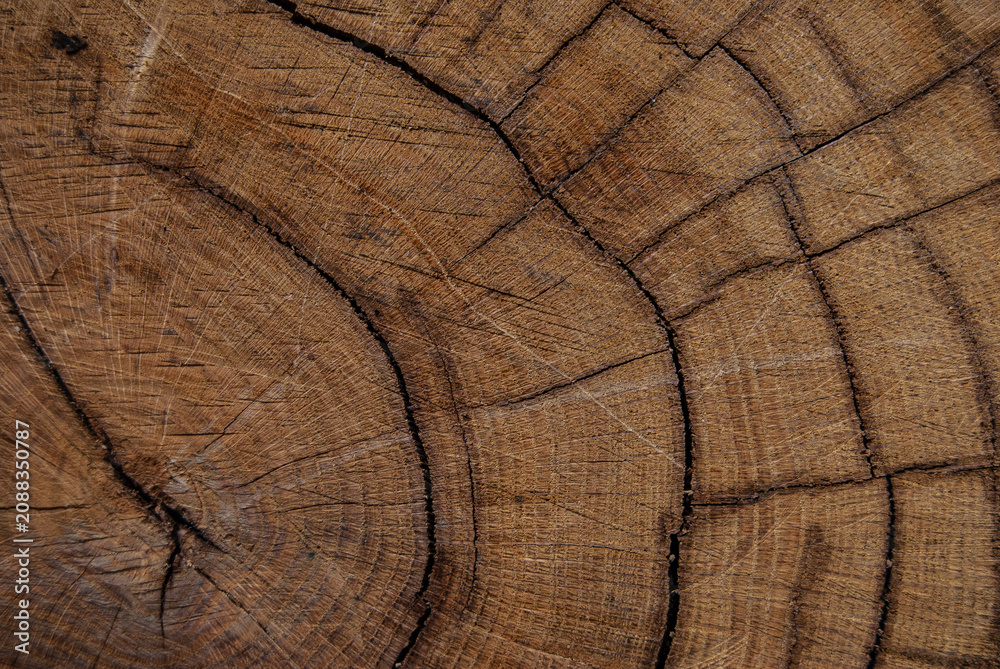 Fototapeta premium wood texture background