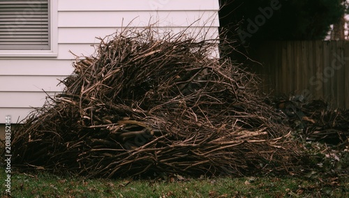 A large pile of dried branches and twigs lies next to a house
