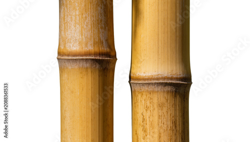 Photos Two golden bamboo stalks with nodes, isolated on transparent background