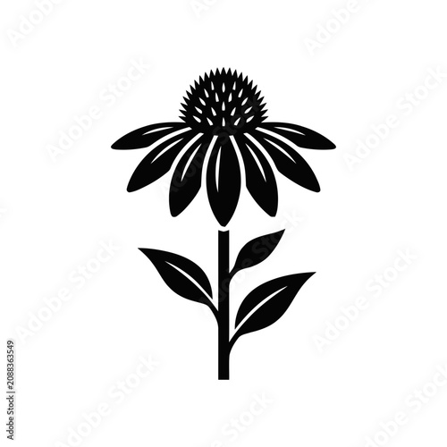 Black and white silhouette of a coneflower, echinacea plant icon, isolated on white background.