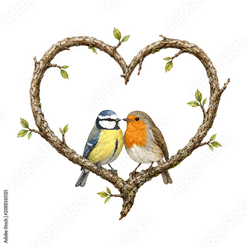Zwei Singvögel auf einem herzförmigen Ast mit frischen Blättern. Liebevolle Naturillustration mit Blaumeise und Rotkehlchen als Symbol für Zuneigung, Partnerschaft und Frühling.