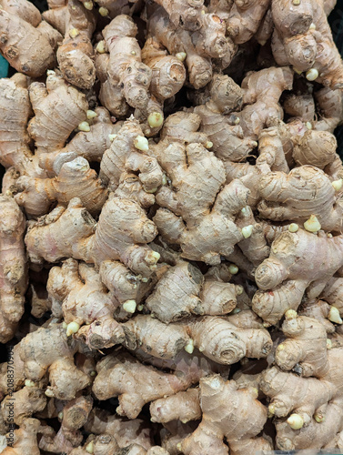 Ginger rhizomes forming a background