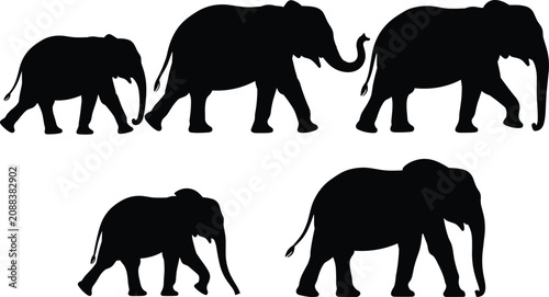 Bild auf Leinwand Silhouettes of five elephants of varying sizes walking on a white background Key