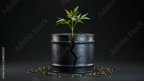 Young green plant growing from cracked oil barrel symbolizing environmental recovery