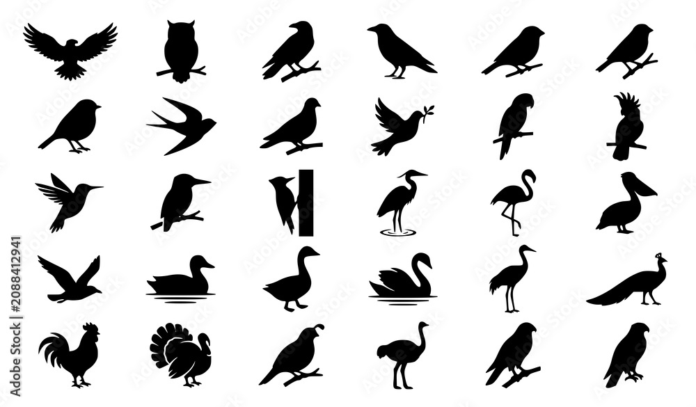Fototapeta premium Nature Bird Icon Bundle with Wildlife Animal Silhouettes Flying Poses and Minimal Vector Symbol Collection