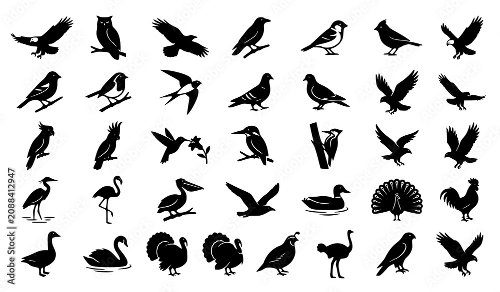 Fototapeta premium Minimal Bird Silhouette Collection Featuring Flying Perching Wildlife Animal Logo and Nature Vector Icons Bundle