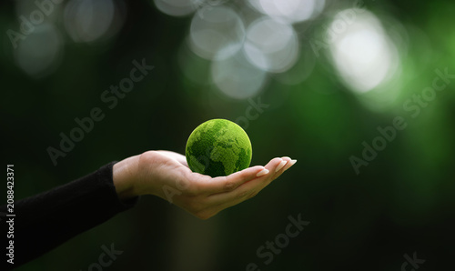 Fotografie Hand holding a green moss-covered Earth symbolizing environmental protection, sustainability, climate action, and a greener future