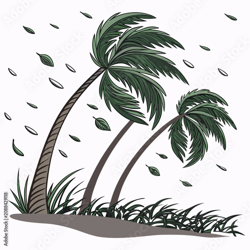 Foto Two palm trees swaying in a strong wind with flying leaves and grass on a white