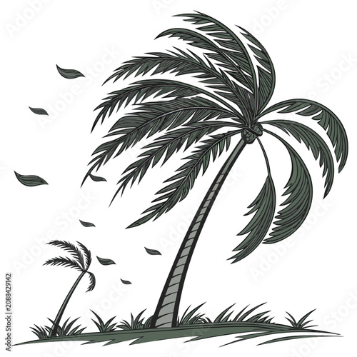 Fényképezés Large and small palm trees swaying in a strong wind with falling leaves on a gra