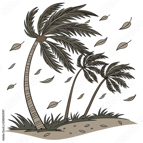 Tableau sur toile Palm trees swaying in a strong wind with falling leaves on a sandy ground, tropi