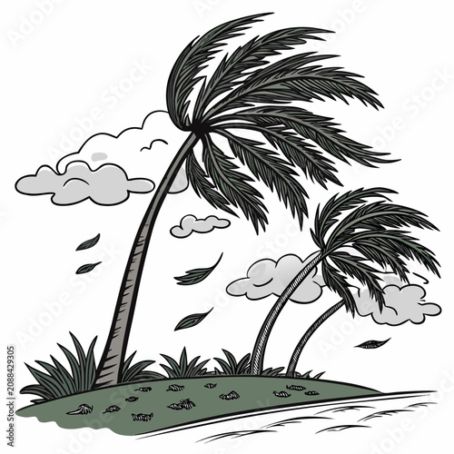 Tropical palm trees bending in a strong wind with clouds and flying leaves on a white background, colored