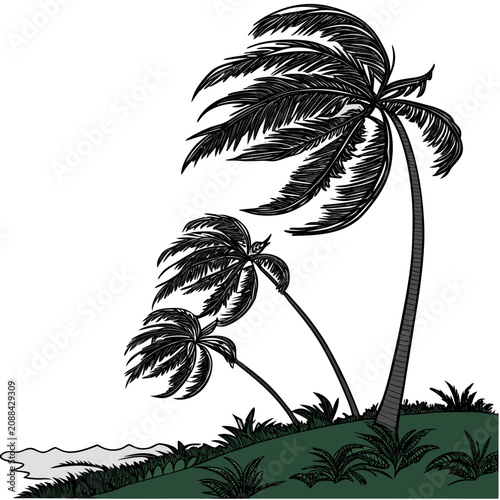 Of two palm trees leaning in a strong wind on a grassy beach with a wavy sea line in black and green colors isolated