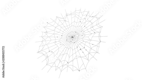Bilde på lerret Intricate Spider Web on White Background