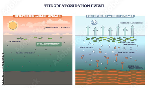 Vászonkép Great Oxidation Event outline shows Earths oxygen rise as cyanobacteria release O2, forming iron oxides and BIF layers, key elements, cyanobacteria, oxygen bubbles, banded iron
