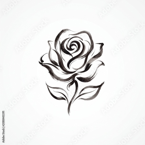 Elegant Hand Drawn Rose Flower Illustration Featuring Artistic Ink Brush Strokes on Minimalist White Background