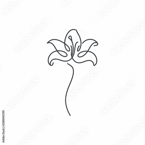 Minimalist Single Line Art Drawing of an Elegant Lily Flower Featuring a Continuous Flowing Stroke Design for Modern Botanical Decor