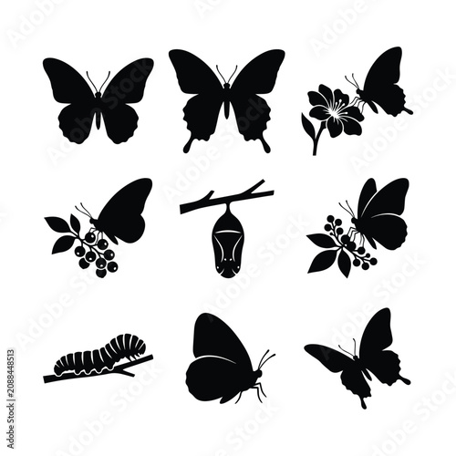 Konstfotografi Set of black silhouettes featuring butterfly stages flowers and caterpillars