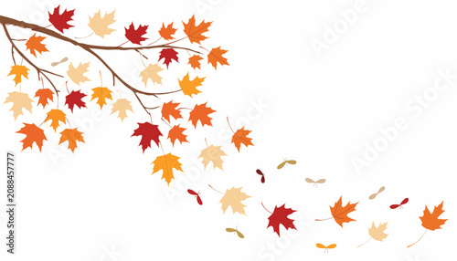 Stylized Flat Vector Illustration of an Autumn Leaf Isolated Design