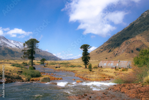 Bild auf Leinwand Remote valley with araucaria trees, rustic quonset hut and iron-rich river, Pata