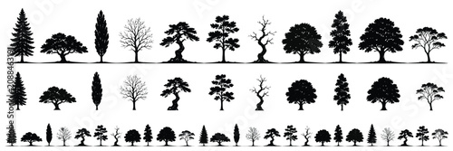 Silhouette of various trees on white background