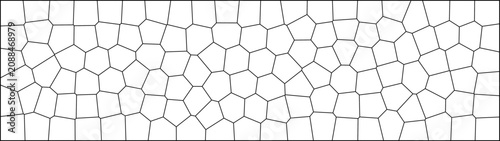 Foto Abstract geometric voronoi cell pattern black and white vector background