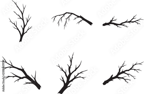 Bare tree branches silhouette vector