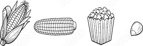 Foto Corn cob with husk, corn on the cob, popcorn in a box, and a single corn kernel