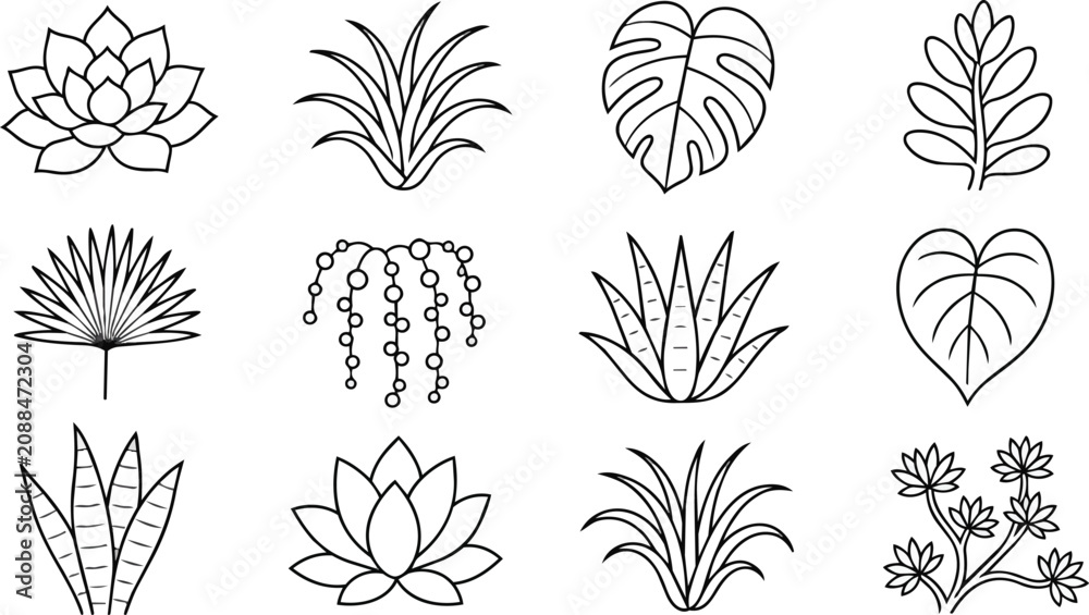 Obraz premium Minimalist Tropical Plant Outline Icons, Succulents, Houseplant Leaf Illustrations