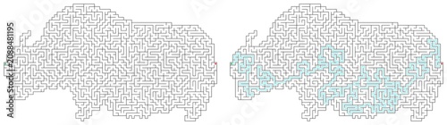 Foto Two intricate mazes shaped like bison for puzzle enthusiasts and game design