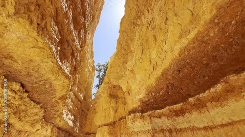 A smooth low angle cinematic shot looking up from a narrow canyon gorge at unique red sandstone spires in Bryce Canyon, Utah. Majestic otherworldly shapes against a clear blue sky. USA.