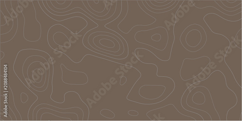Canvastavla Abstract topographic map contour lines pattern in taupe with topographic abstrac