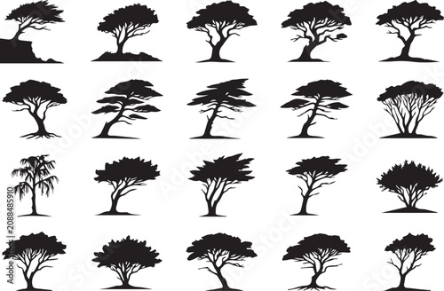 Foto Tree silhouette set with cliff willow bonsai and windswept trees black nature il