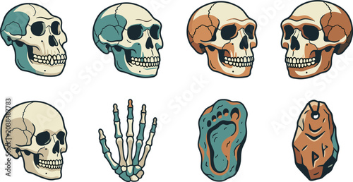 Quadro su tela Collection of ancient human evolution skulls, skeleton hand, fossilized footprin