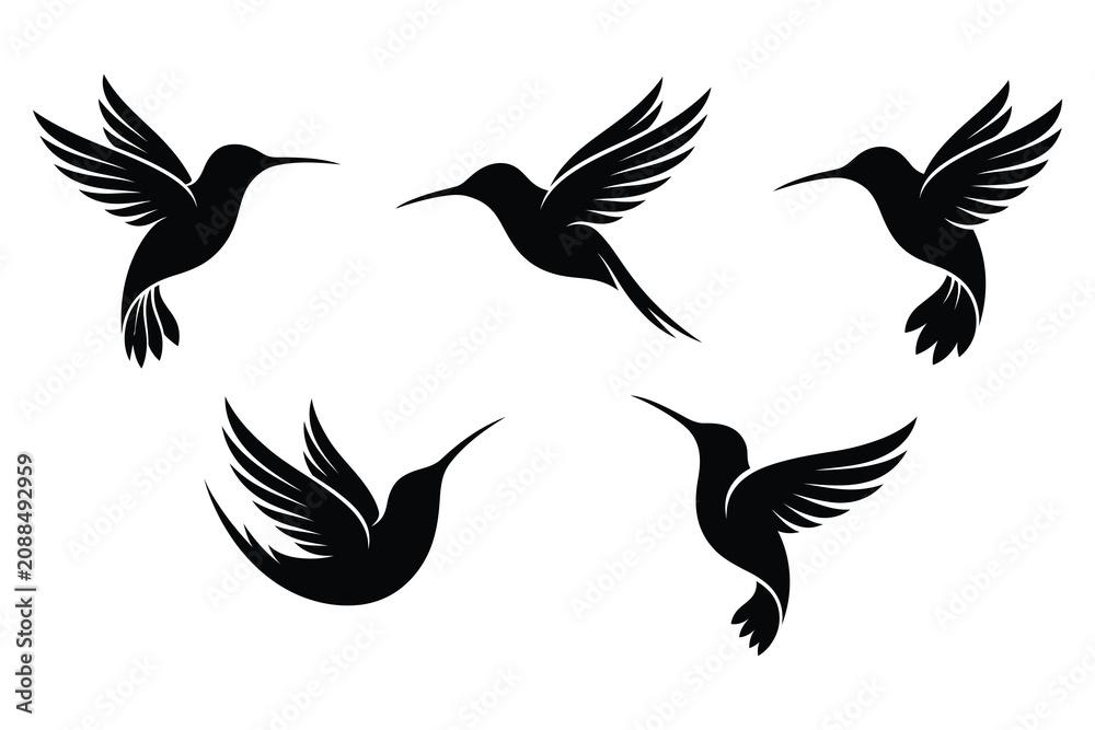 Obraz premium Five black hummingbirds flying in different directions on white background