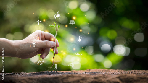 Hand planting small seedling in soil with glowing environmental icons. ESG, sustainability, renewable energy and corporate social responsibility concept.