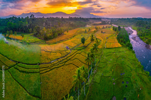 Beautiful panoramic aerial view of terraced rice fields at sunrise in Indonesia, surrounded by lush tropical greenery and palm trees