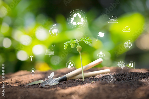 Seedling growing in soil with gardening tools and glowing smart farming icons. AI agriculture, ESG, sustainability and green technology concept.