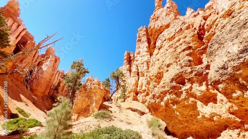 A smooth first-person POV video strolling among beautiful red rock spires and unique hoodoos in Bryce Canyon, Utah. Rare green pine trees under a clear blue sky on a bright sunny lagoon vibe day. USA.
