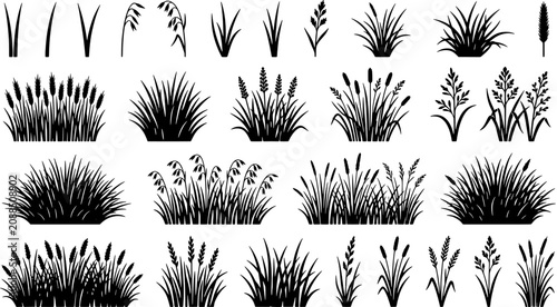 Grass and wheat icon set in a flat black silhouette style including wild field plants, meadow herbs, cereal crops, shrubs and ornamental blades.