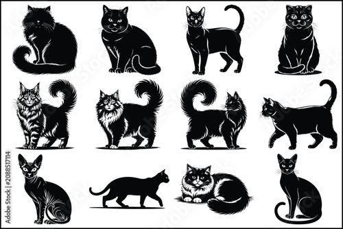 Collection of black and white cat silhouettes in various poses