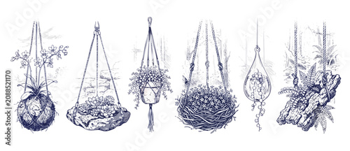 Hanging plants botanical sketch illustration set, featuring kokedama moss ball, succulents, macrame pot hanger, glass terrarium, and driftwood planter, hand drawn blueprint engraving style on white.