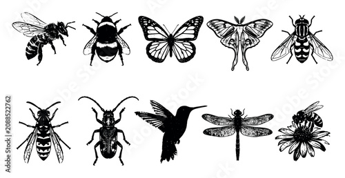 Insect set featuring various pollinators grunge style silhouettes