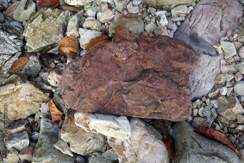 Photography Natural red jasper or chert rock texture on the ground with dry autumn leaves, selective focus