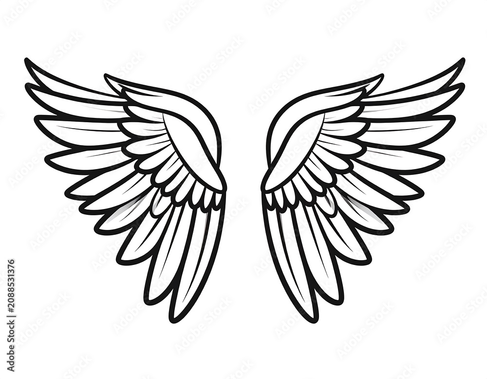 Fototapeta premium Wing Vector Illustration.